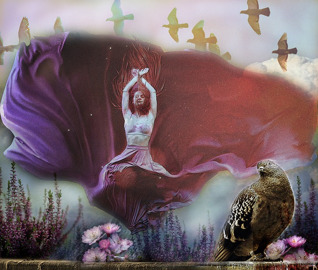 国际马联场地障碍世界杯中国联赛总决赛12月成都举行