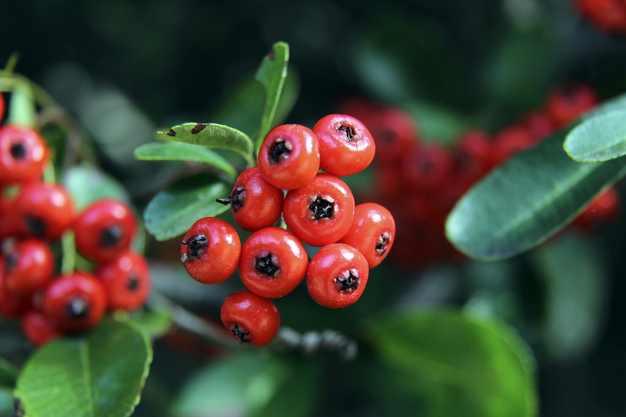 队友：梅西在场上场下都给我建议！跟他当队友是梦想成真！