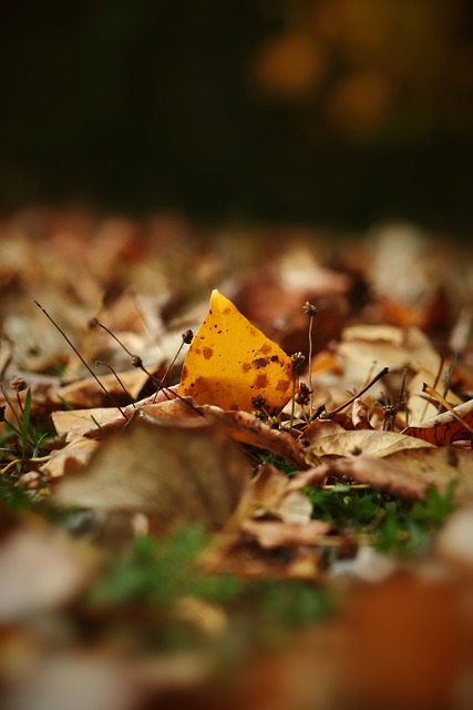 据教练组透 据教练组透