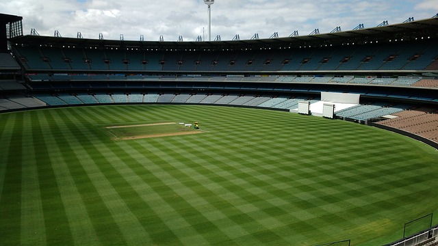 為球迷帶來 為球迷帶來