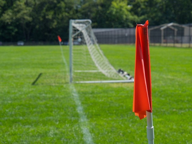 在过去的一 在过去的一